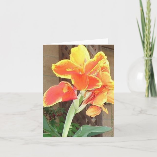 Canna Lily notecard (Front)