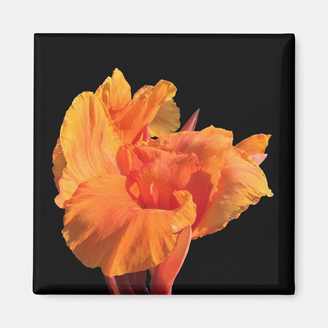 Canna Magnet (Front)