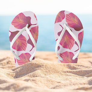 Canna Tropicanna Leaves in Pink Thongs