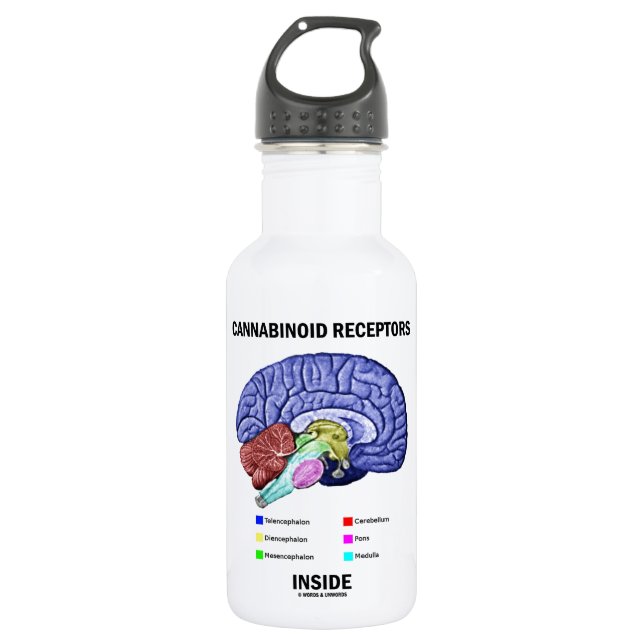 Cannabinoid Receptors Inside (Brain Anatomy) 532 Ml Water Bottle (Front)