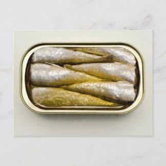 Canned Sardines Postcard