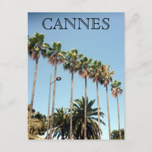 cannes palm trees postcard