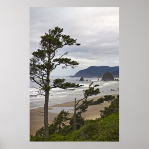 Cannon Beach from Tolovana in Oregon Pacific Ocean Poster