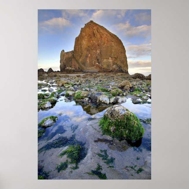 Cannon Beach Haystack Rock Low Tide Oregon Poster (Front)