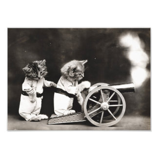 Cannon Kittens Photo Print