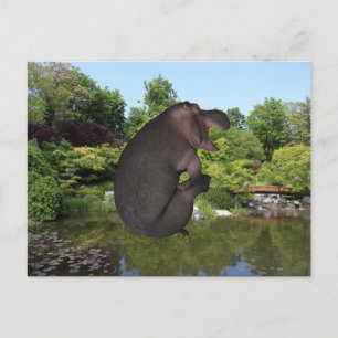 Cannonball Hippo Postcard