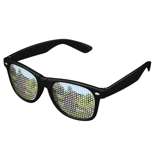 Cannonball Hippo Retro Sunglasses (Angled)