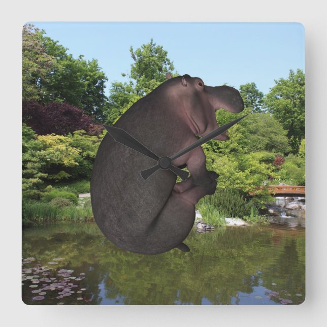 Cannonball Hippo Square Wall Clock (Front)