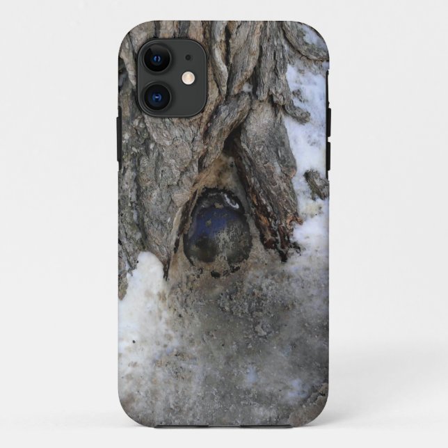 Cannonball Tree, Old Quebec City, Quebec, Canada Case-Mate iPhone Case (Back)