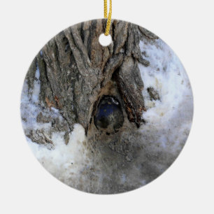 Cannonball Tree, Old Quebec City, Quebec, Canada Ceramic Ornament