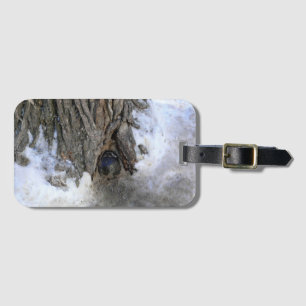 Cannonball Tree, Old Quebec City, Quebec, Canada Luggage Tag