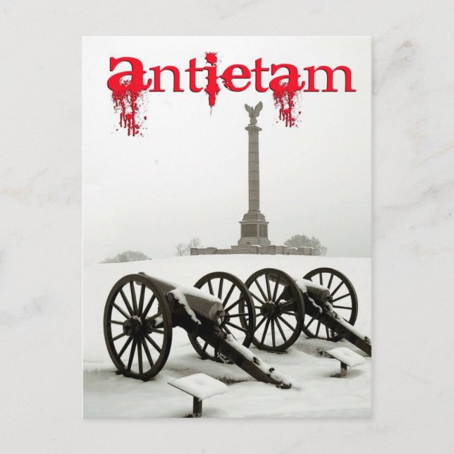 Cannons at Antietam National Battlefield, MA Postcard (Front)