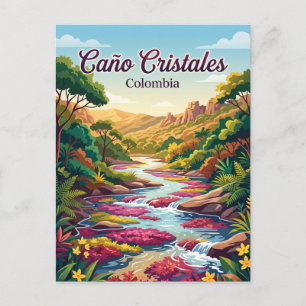 Caño Cristales Colombia Postcard