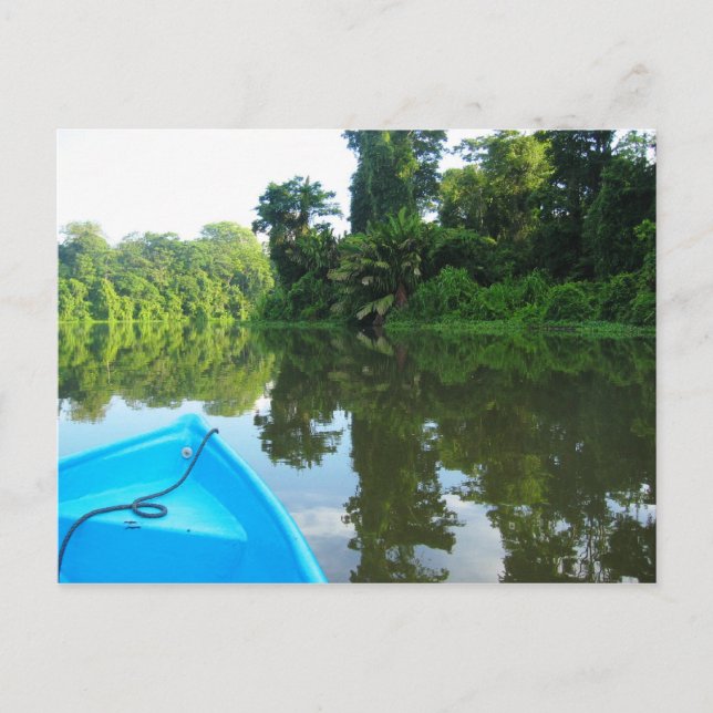Canoe on river in Tortuguero, Costa Rica Postcard (Front)