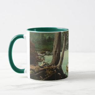 Canoeing on an Adirondack Mountain Stream Mug