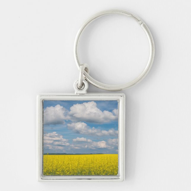 Canola Field & Clouds Key Ring (Front)