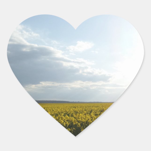 Canola Field Heart Sticker (Front)