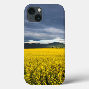 Canola field in morning light in the Flathead iPhone 13 Case