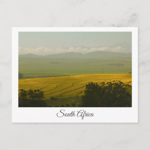 Canola Fields South Africa Landscape Postcard