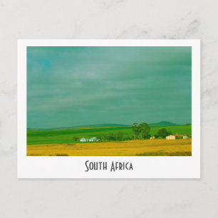 Canola Fields South Africa Landscape Postcard