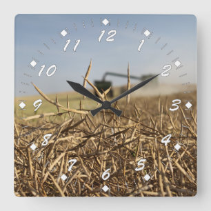 Canola Harvest Square Wall Clock
