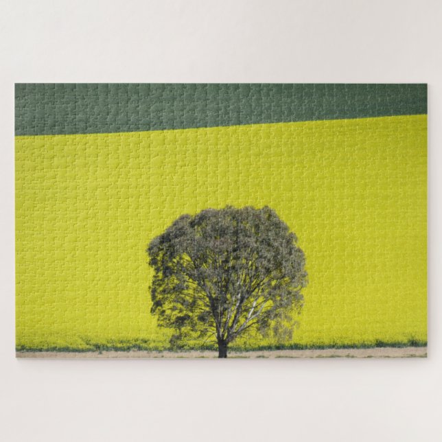 canola tree jigsaw puzzle (Horizontal)