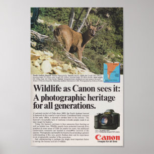 Canon camera 1980s advertisement retro antique poster