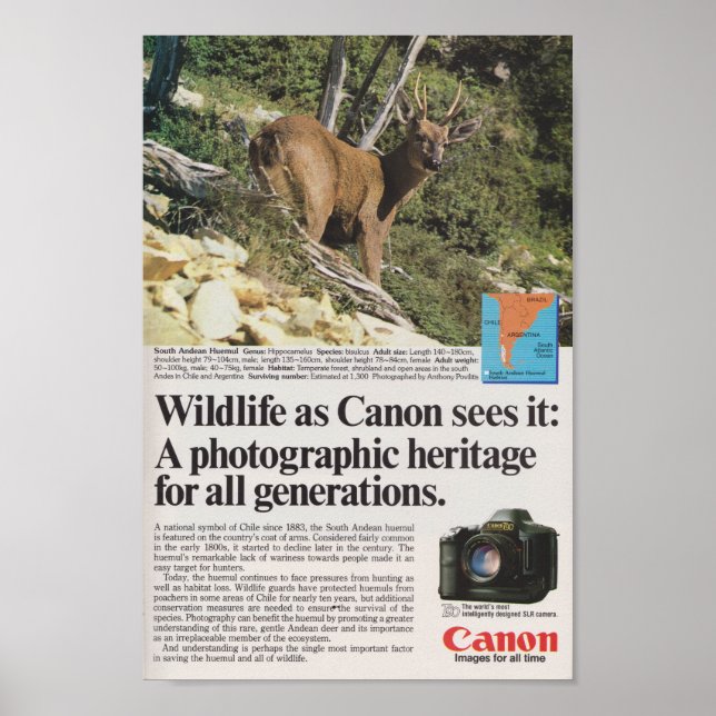 Canon camera 1980s advertisement retro antique poster (Front)