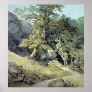 Canonteign, Devon Poster