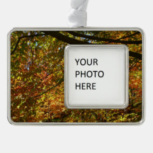 Canopy of Fall Leaves I Yellow Autumn Nature Silver Plated Framed Ornament