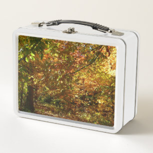 Canopy of Fall Leaves II Yellow Autumn Photography Metal Lunch Box
