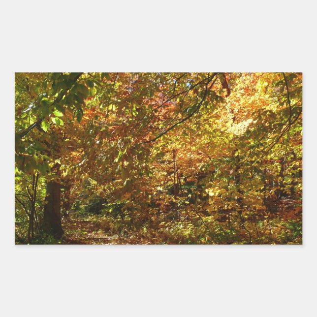 Canopy of Fall Leaves II Yellow Autumn Photography Rectangular Sticker (Front)