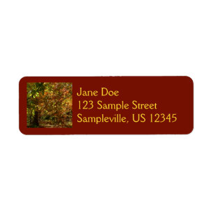 Canopy of Fall Leaves II Yellow Autumn Photography Return Address Label