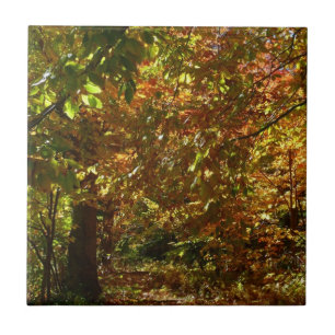 Canopy of Fall Leaves II Yellow Autumn Photography Tile