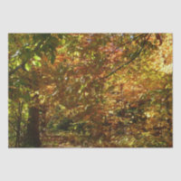Canopy of Fall Leaves II Yellow Autumn Photography
