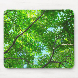Canopy of Green, Leafy Branches with Blue Sky Mouse Pad