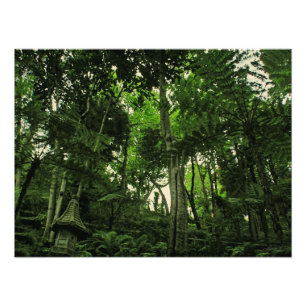 Canopy of Lushness @ Madeira Portugal Photo Print