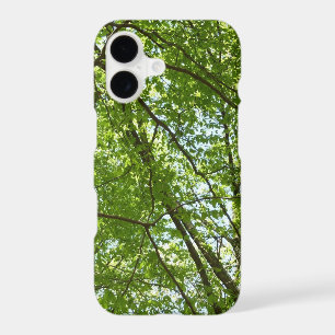 Canopy of Spring Leaves Green Nature Scene