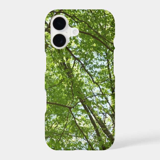 Canopy of Spring Leaves Green Nature Scene (Back)