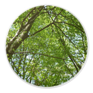 Canopy of Spring Leaves Green Nature Scene Ceramic Knob