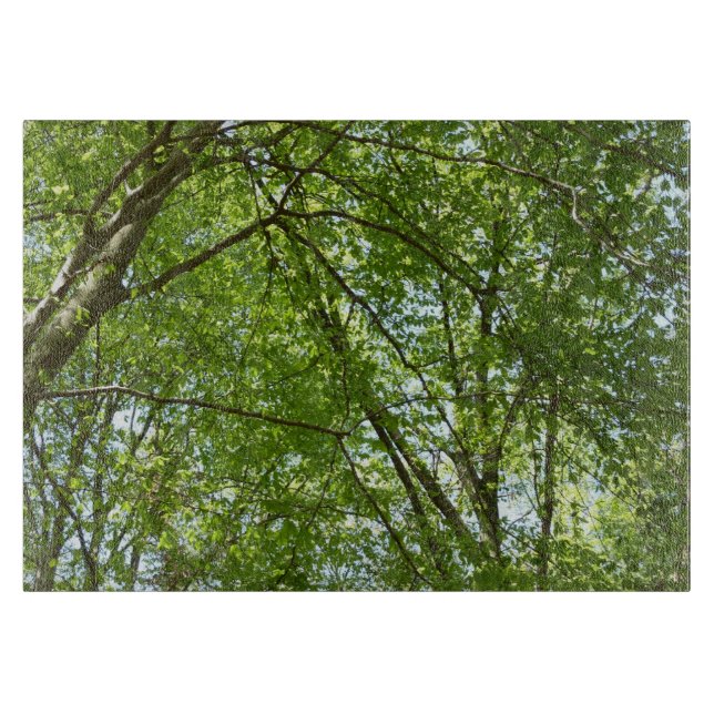 Canopy of Spring Leaves Green Nature Scene Cutting Board (Front)