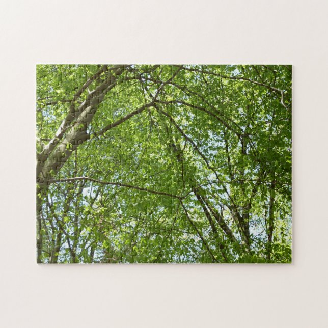 Canopy of Spring Leaves Green Nature Scene Jigsaw Puzzle (Horizontal)