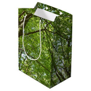 Canopy of Spring Leaves Green Nature Scene Medium Gift Bag