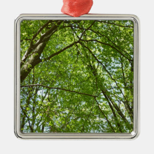 Canopy of Spring Leaves Green Nature Scene Metal Ornament