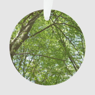 Canopy of Spring Leaves Green Nature Scene Ornament