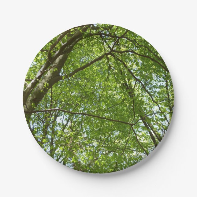 Canopy of Spring Leaves Green Nature Scene Paper Plate (Front)