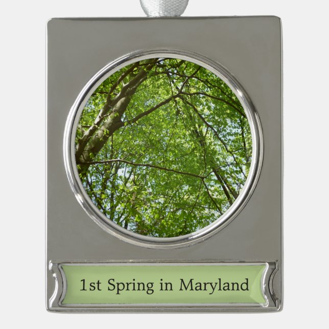 Canopy of Spring Leaves Green Nature Scene Silver Plated Banner Ornament (Front)