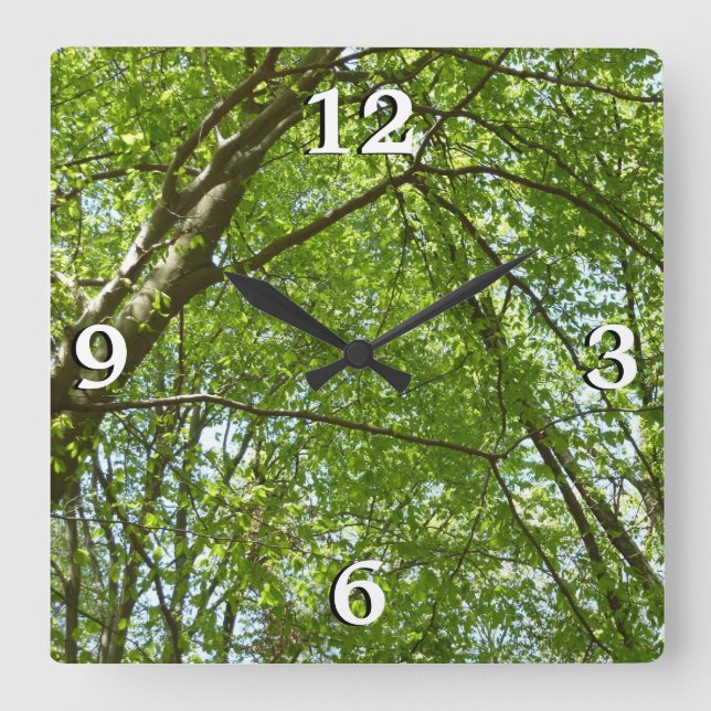 Canopy of Spring Leaves Green Nature Scene Square Wall Clock (Front)