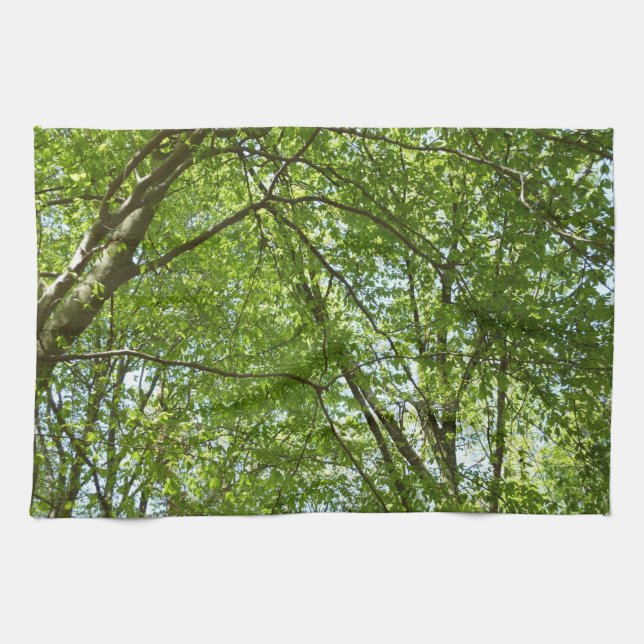 Canopy of Spring Leaves Green Nature Scene Tea Towel (Horizontal)