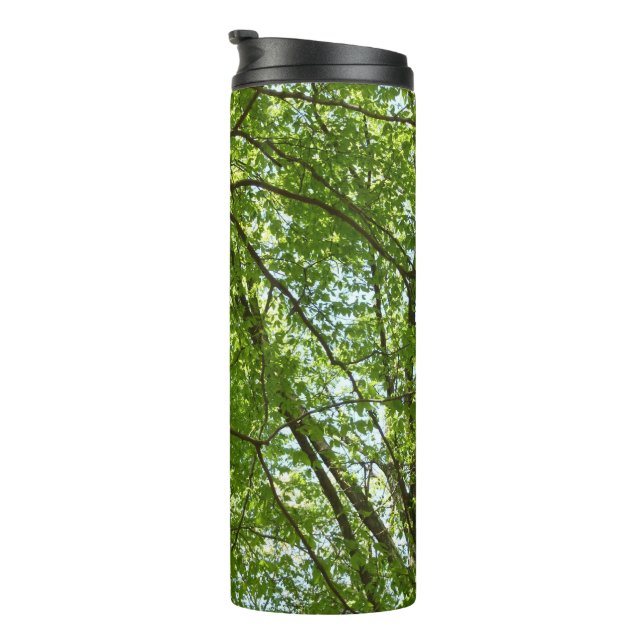 Canopy of Spring Leaves Green Nature Scene Thermal Tumbler (Rotated Right)